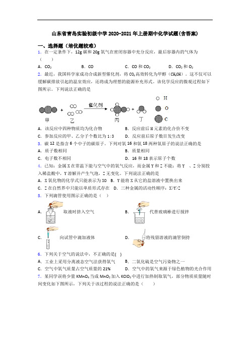 山东省青岛实验初级中学2020-2021年上册期中初三化学试题(含答案)