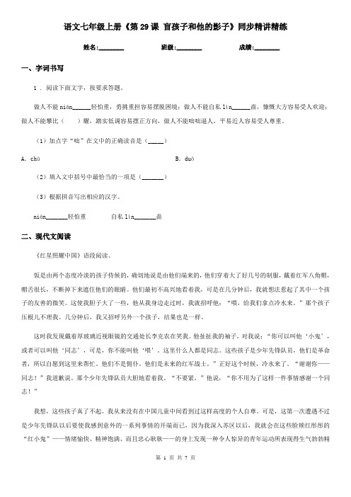 语文七年级上册《第29课 盲孩子和他的影子》同步精讲精练