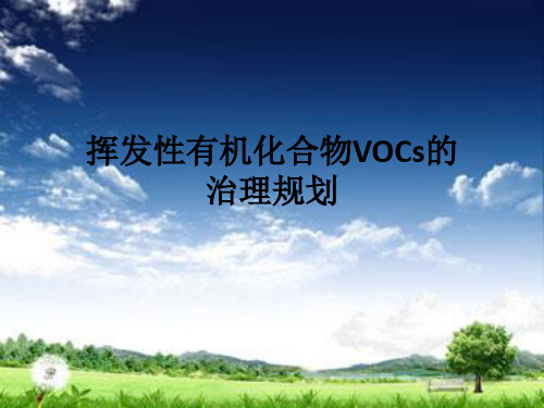 VOCsPPT讲解