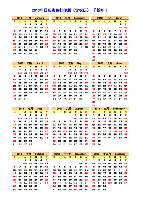 2013年日历[公历+农历彩色单页班][A4纸一页打印]