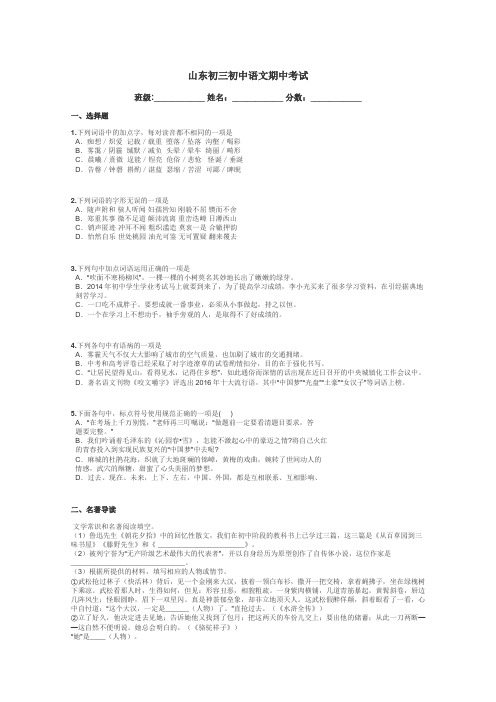 山东初三初中语文期中考试带答案解析