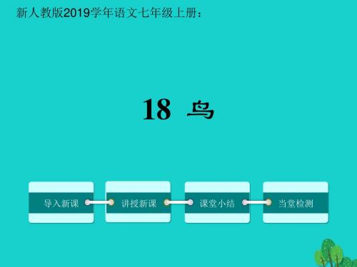 新人教版语文七年级上册：18《鸟》(共17张ppt)