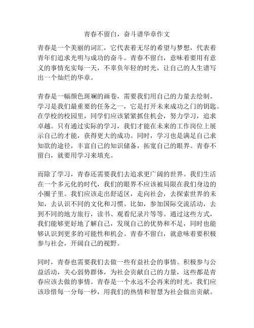 青春不留白,奋斗谱华章作文