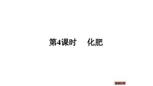 10.3常见的盐(第4课时化肥)课件---2024-2025学年九年级化学人教版(2024)下册