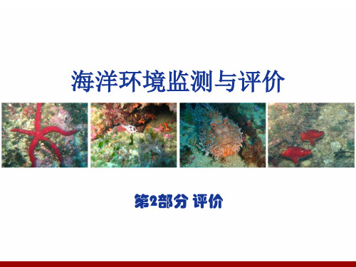 海洋环境监测与评价 第九章  环境质量现状评价