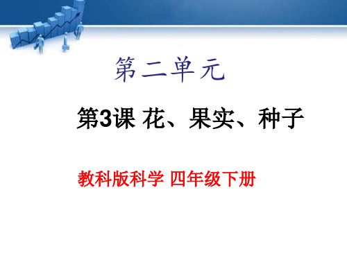 教科版科学-四年级下册2.3《花、果实和种子》课件(18张ppt)