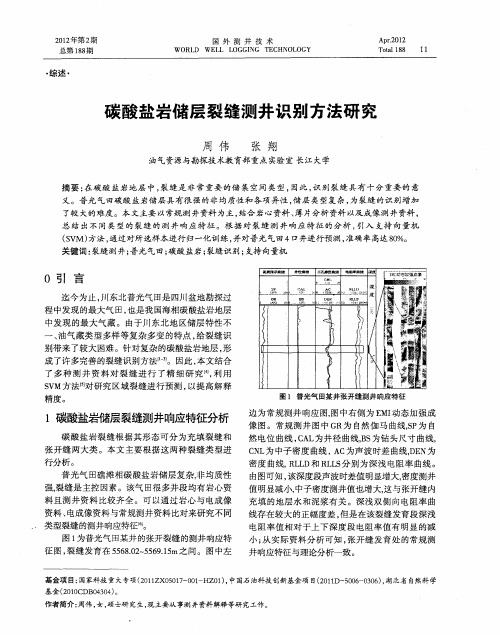 碳酸盐岩储层裂缝测井识别方法研究