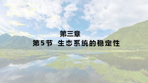 3.5 生态系统的稳定性 课件(共62张PPT)人教版选择性必修二