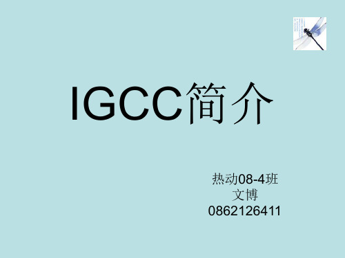 IGCC-简介