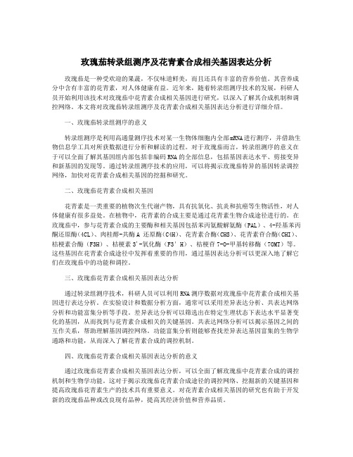 玫瑰茄转录组测序及花青素合成相关基因表达分析