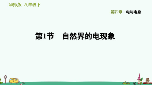 《自然界的电现象》习题课件 华师版科学