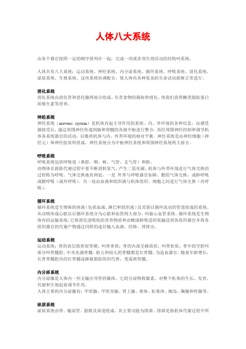 ts人体八大系统