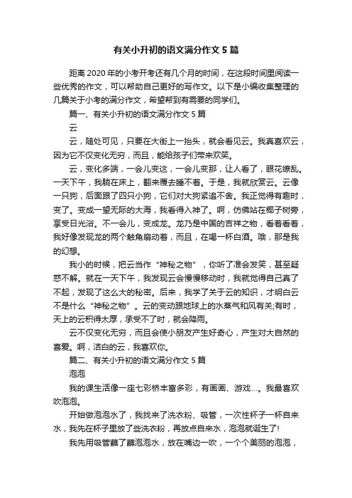 有关小升初的语文满分作文5篇