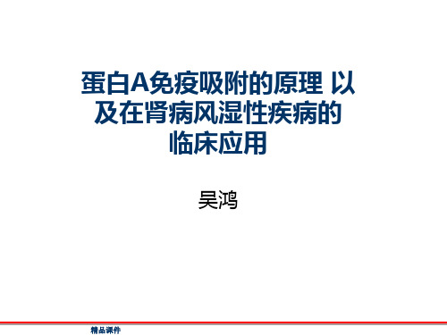 蛋白A免疫吸附的原理以及在肾病风湿性疾病的临床应用