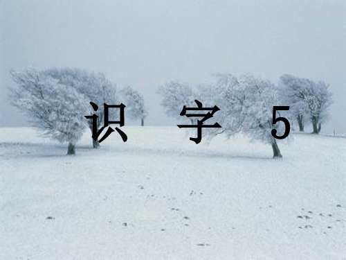 二年级上册识字5