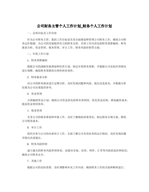 公司财务主管个人工作计划_财务个人工作计划