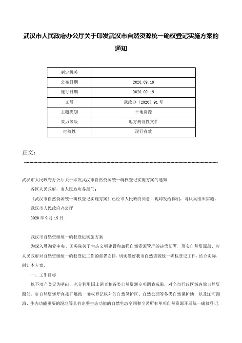 武汉市人民政府办公厅关于印发武汉市自然资源统一确权登记实施方案的通知-武政办〔2020〕91号