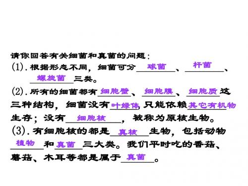 七年级科学显微镜下的各种生物4