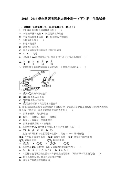 陕西省西北大附中2015-2016学年高一下学期期中生物试卷 含解析