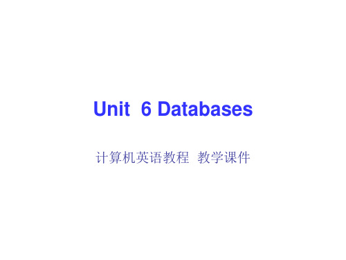 《计算机英语》Unit 6