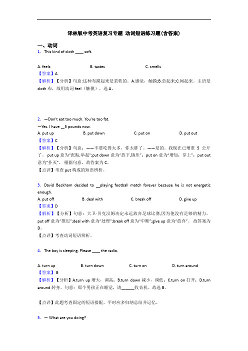 译林版中考英语复习专题 动词短语练习题(含答案)