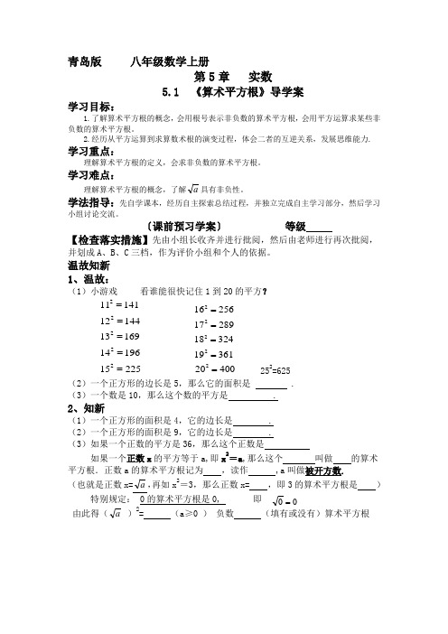 5.1算数平方根 (1)