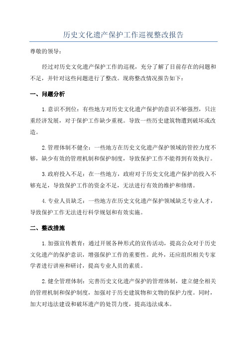 历史文化遗产保护工作巡视整改报告