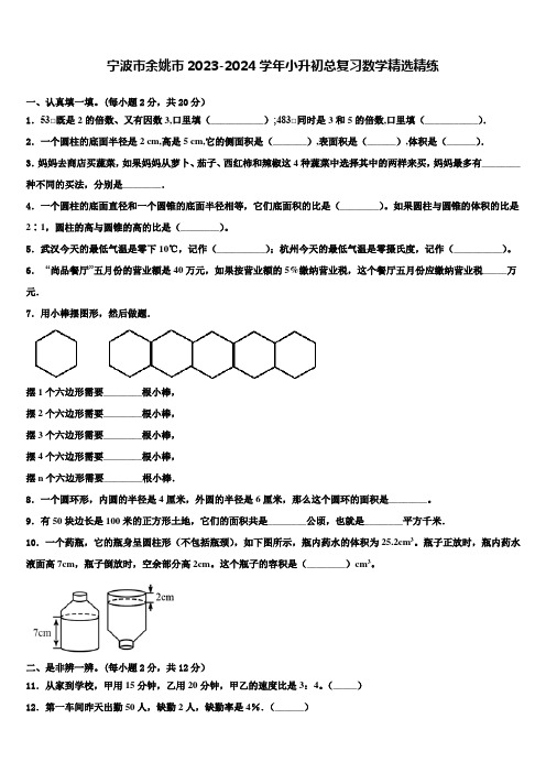 宁波市余姚市2023-2024学年小升初总复习数学精练含解析