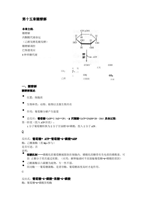 生物化学原理糖酵解