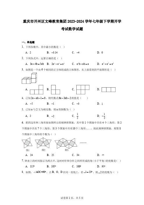 重庆市开州区文峰教育集团2023-2024学年七年级下学期开学考试数学试题