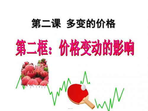 人教版高中政治必修一2.2价格变动的影响(共25张PPT)