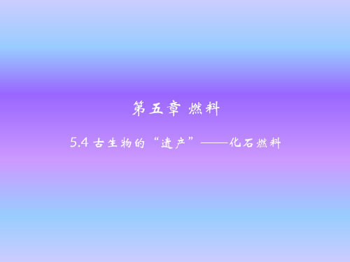 粤教版九年级上册化学课件5.4 古生物的“遗产”——化石燃料