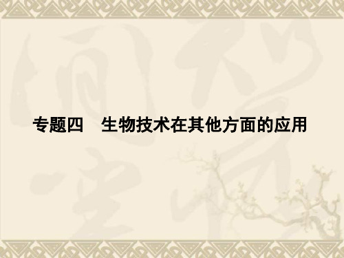 高考生物一轮复习 4 生物技术在其他方面的应用课件 新人教版 新人教版选修1