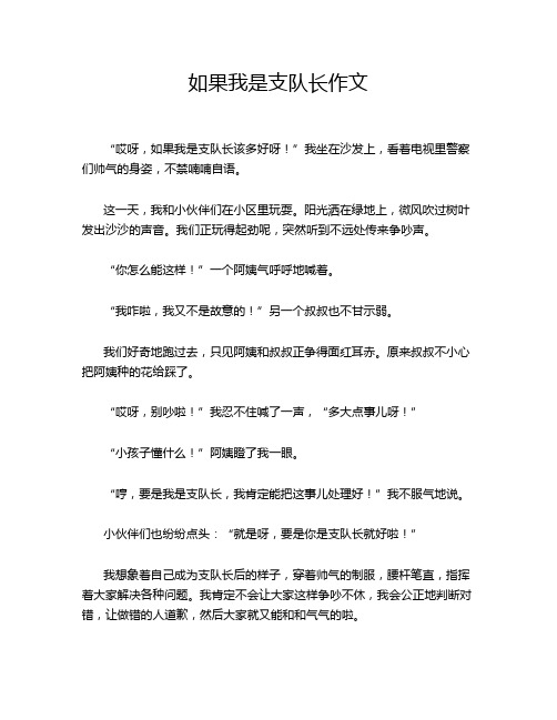 如果我是支队长作文