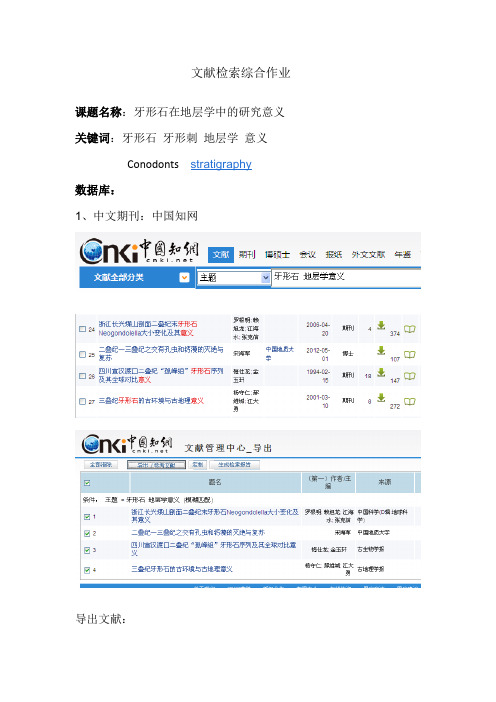 文献检索综合作业