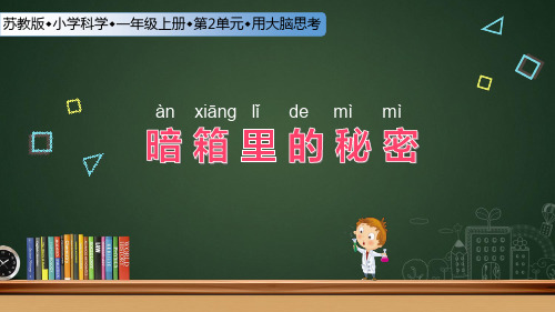 苏教版科学一年级上册8.暗箱里的秘密