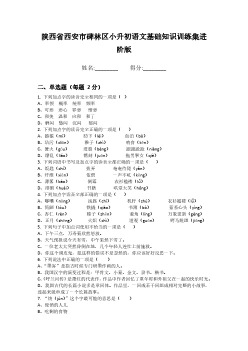 陕西省西安市碑林区小升初语文基础知识训练集进阶版