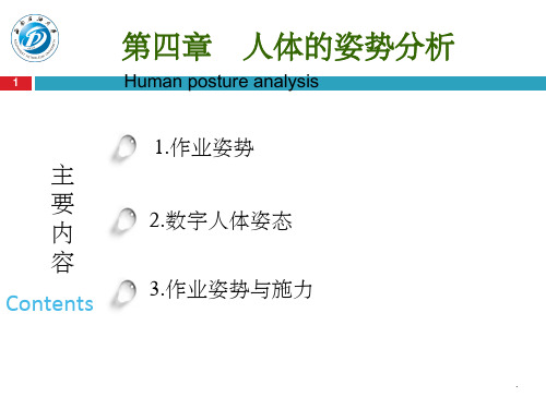 人体的姿势分析(课堂PPT)