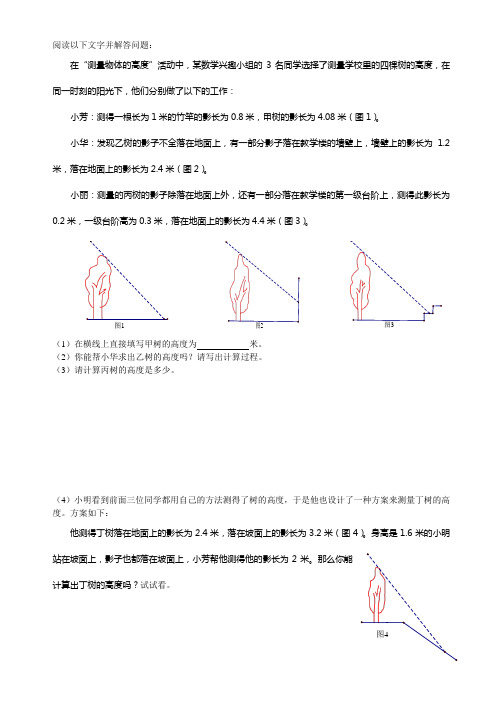 测量旗杆的高度专题训练试题