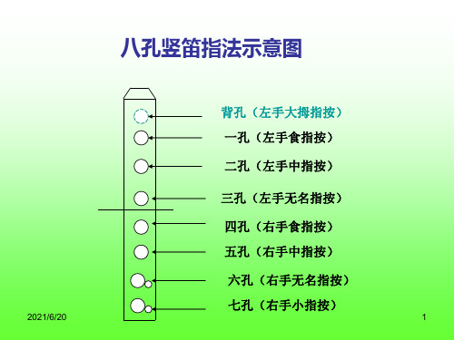 竖笛八孔指法教程