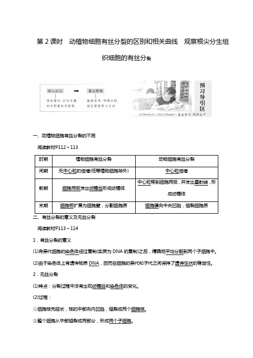 人教版高考生物必修1同步学案第6章 动植物细胞有丝分裂的区别和相关曲线 观察根尖分生组织细胞的有丝分裂