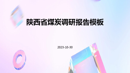 陕西省煤炭调研报告模板