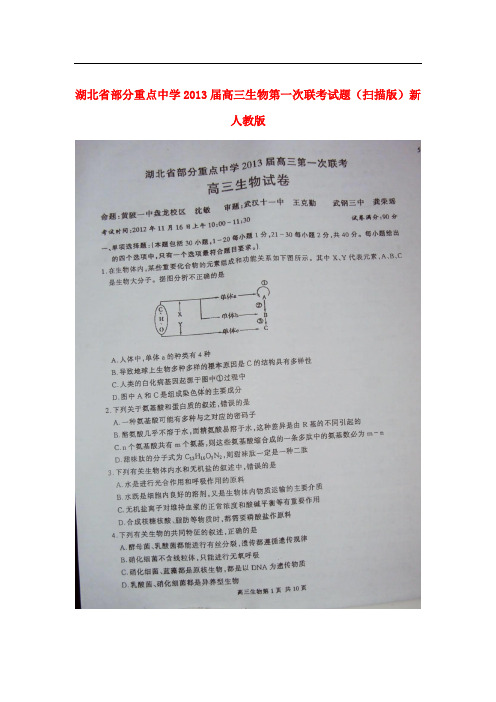 湖北省高三生物第一次联考试题(扫描版)新人教版