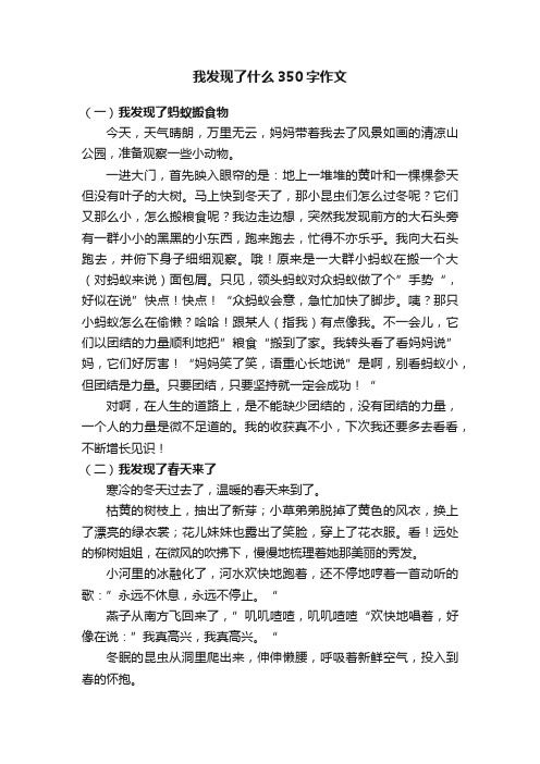 我发现了什么350字作文