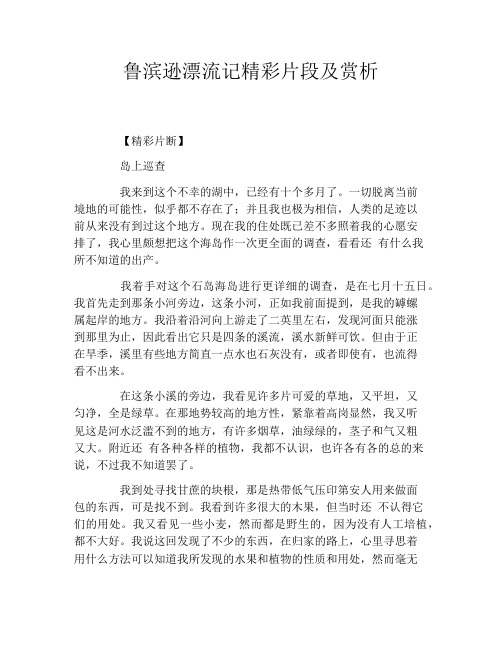 鲁滨逊漂流记精彩片段及赏析