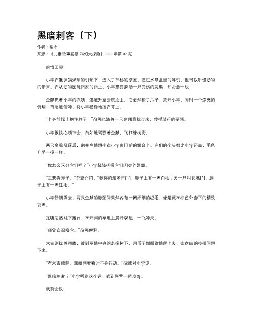 黑暗刺客（下）