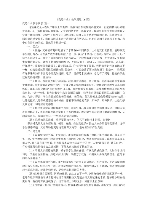 《我是什么》教学反思(6篇)