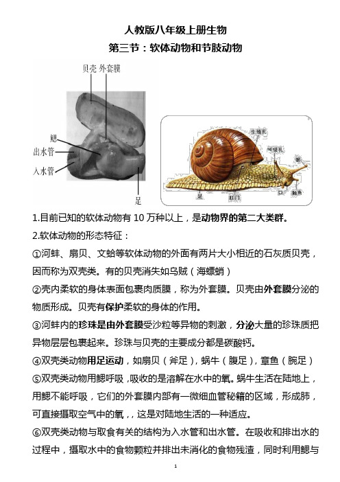 2019年人教版八年级上册生物软体动物和节肢动物讲义及练习(含答案)