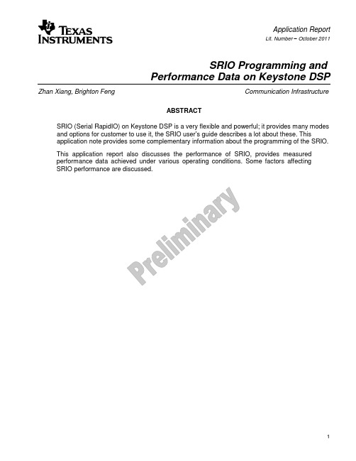 SRIO_Programming_Performance (1)