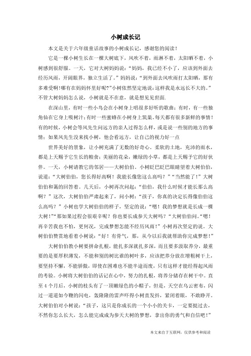 小树成长记_六年级童话故事